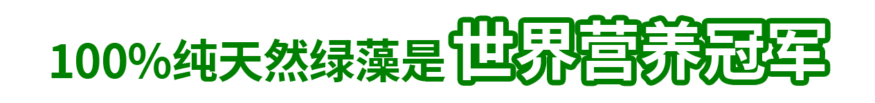 100%纯天然绿藻是 世界营养冠军